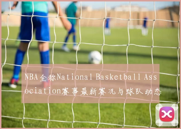 NBA全称National Basketball Association赛事最新赛况与球队动态分析