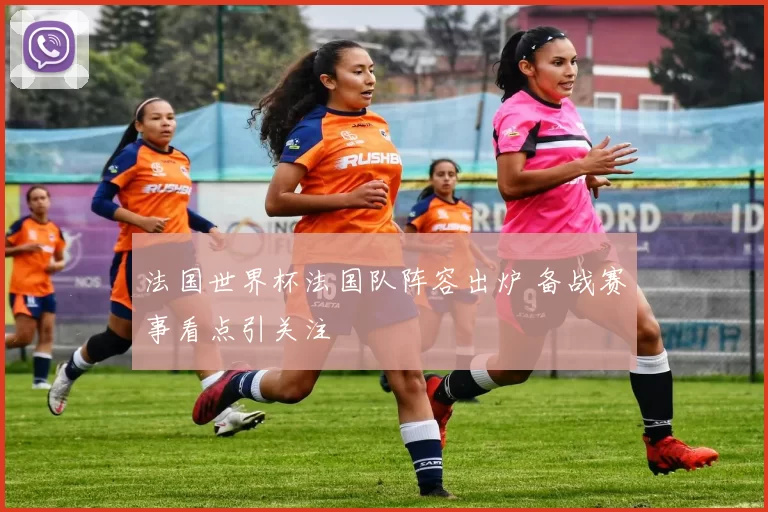 法国世界杯法国队阵容出炉 备战赛事看点引关注