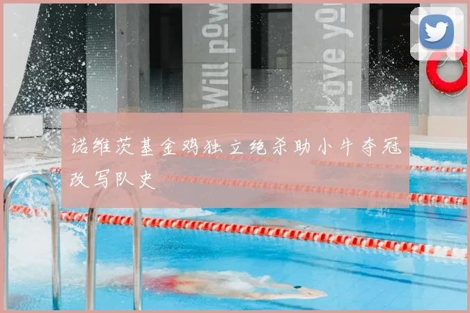 诺维茨基金鸡独立绝杀助小牛夺冠改写队史
