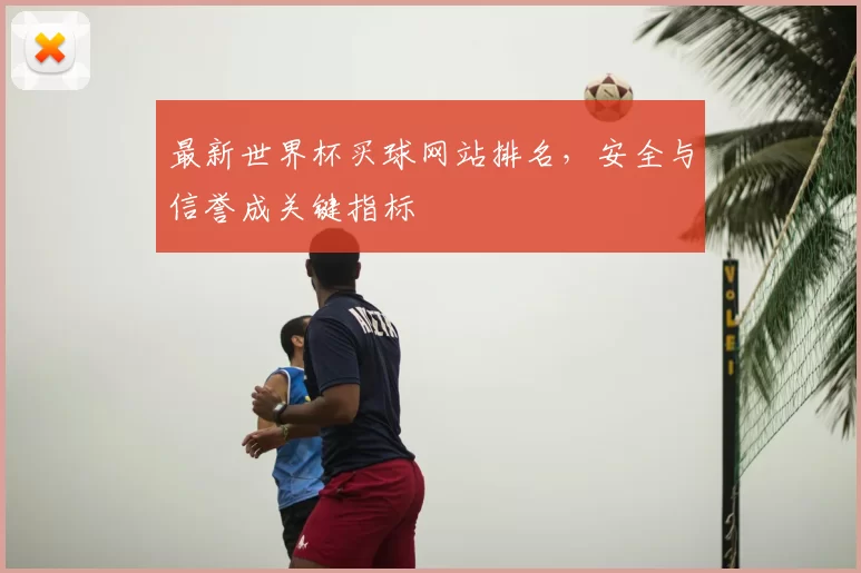 最新世界杯买球网站排名，安全与信誉成关键指标