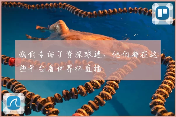 我们专访了资深球迷,他们都在这些平台看世界杯直播