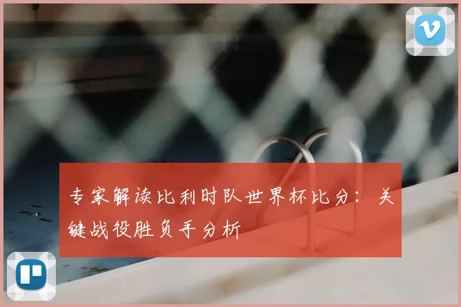 专家解读比利时队世界杯比分:关键战役胜负手分析