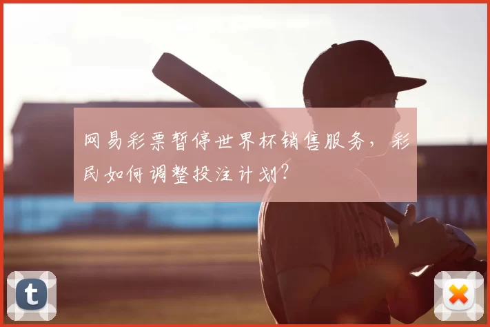 网易彩票暂停世界杯销售服务,彩民如何调整投注计划?