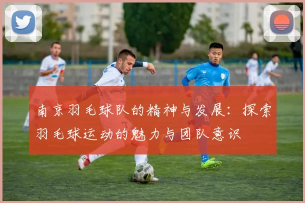南京羽毛球队的精神与发展：探索羽毛球运动的魅力与团队意识