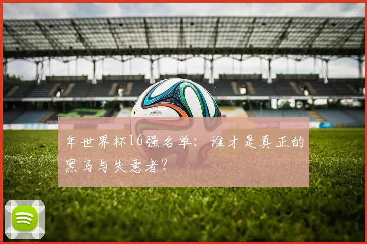 年世界杯16强名单:谁才是真正的黑马与失意者?