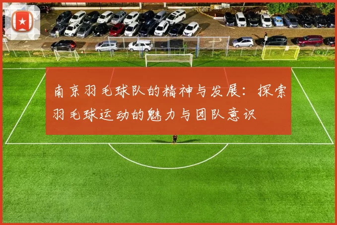 南京羽毛球队的精神与发展：探索羽毛球运动的魅力与团队意识