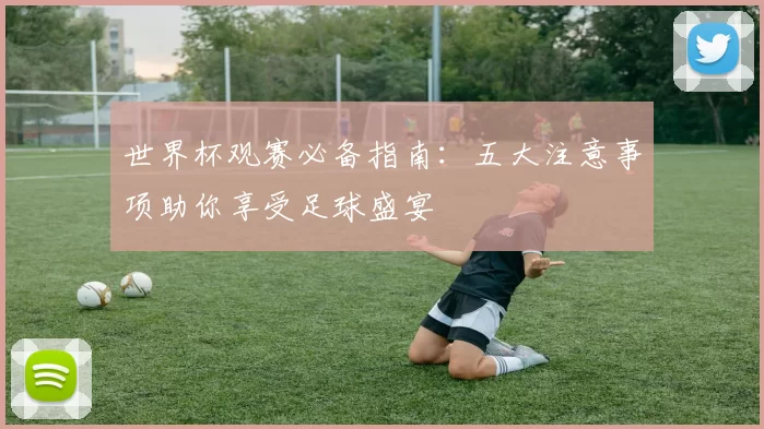 世界杯观赛必备指南：五大注意事项助你享受足球盛宴