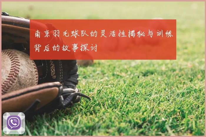 南京羽毛球队的灵活性揭秘与训练背后的故事探讨