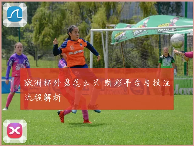 欧洲杯外盘怎么买 购彩平台与投注流程解析