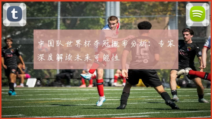 中国队世界杯夺冠概率分析：专家深度解读未来可能性